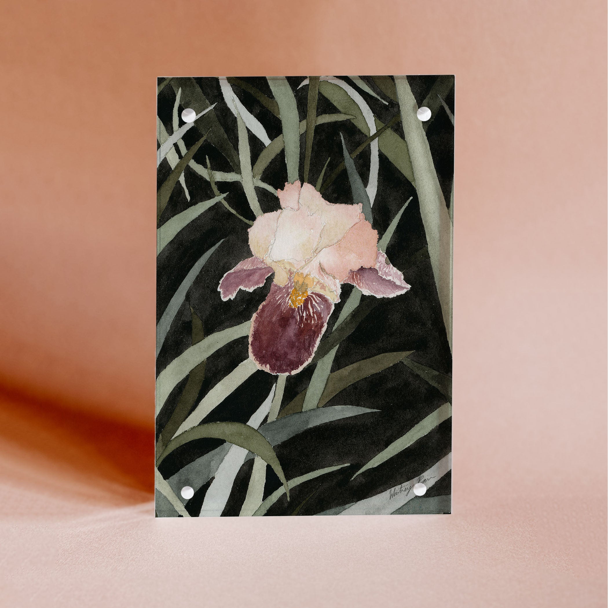 Acrylic Block Framed "Iris"