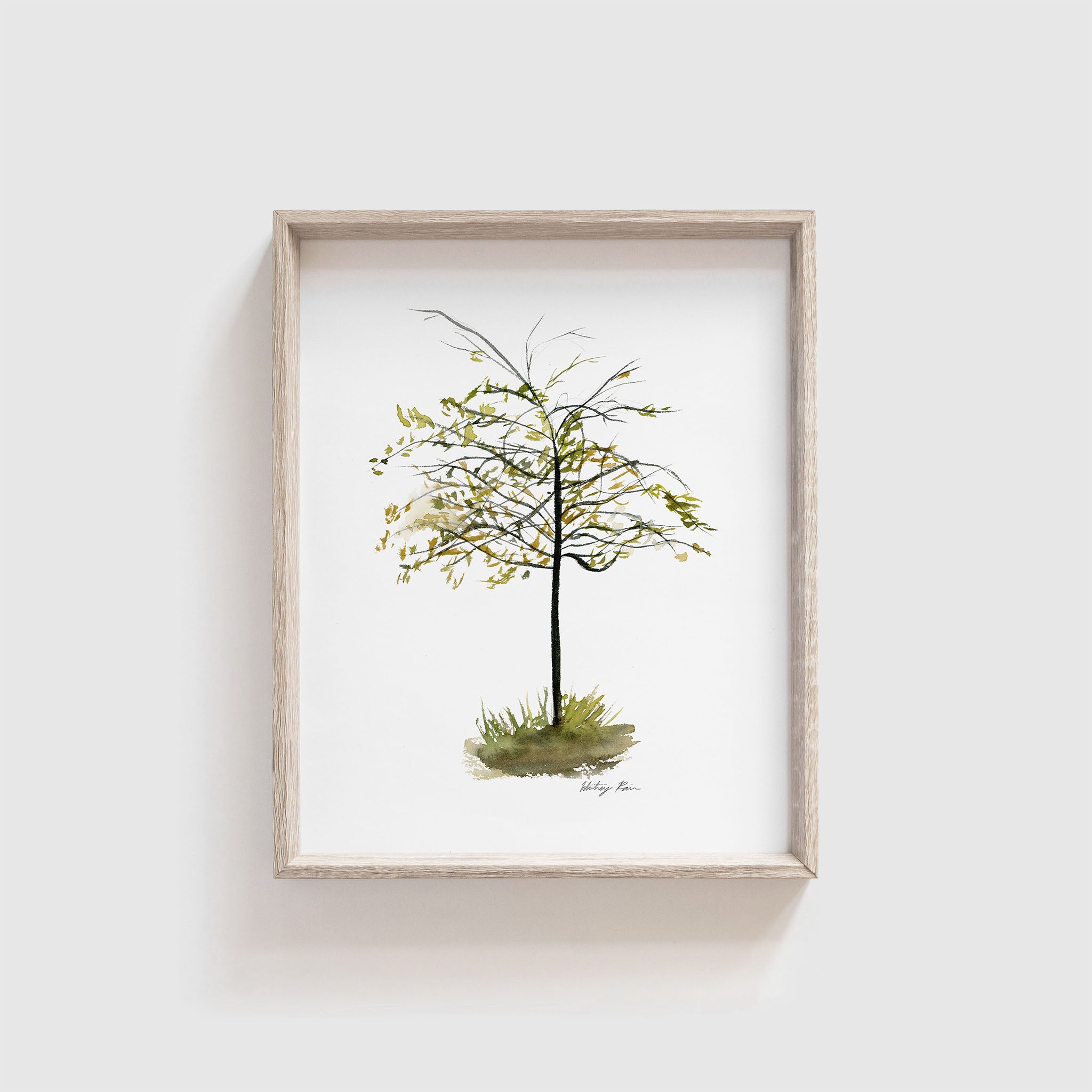 "Fall Tree 2" Watercolor Print