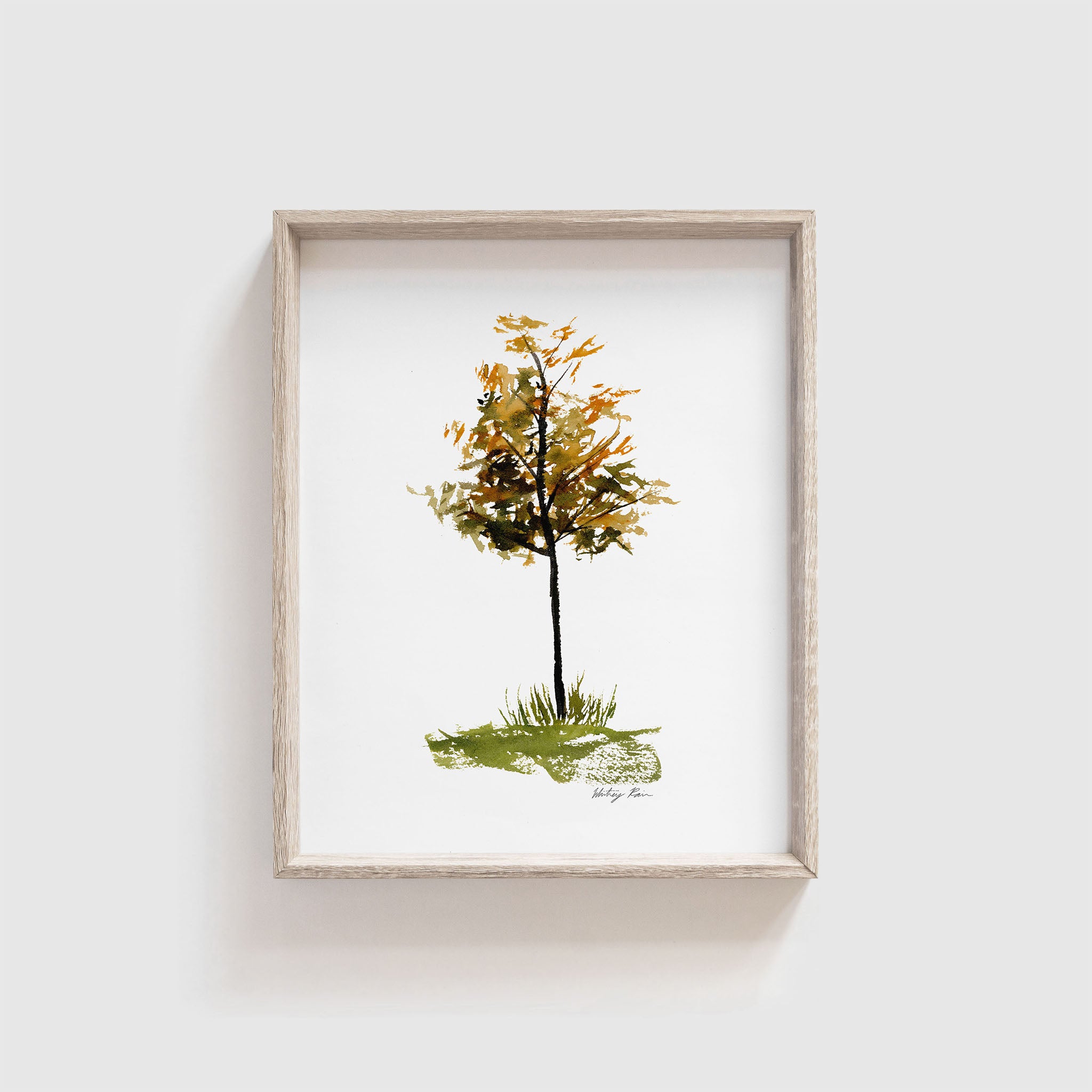 "Fall Tree 1" Watercolor Print