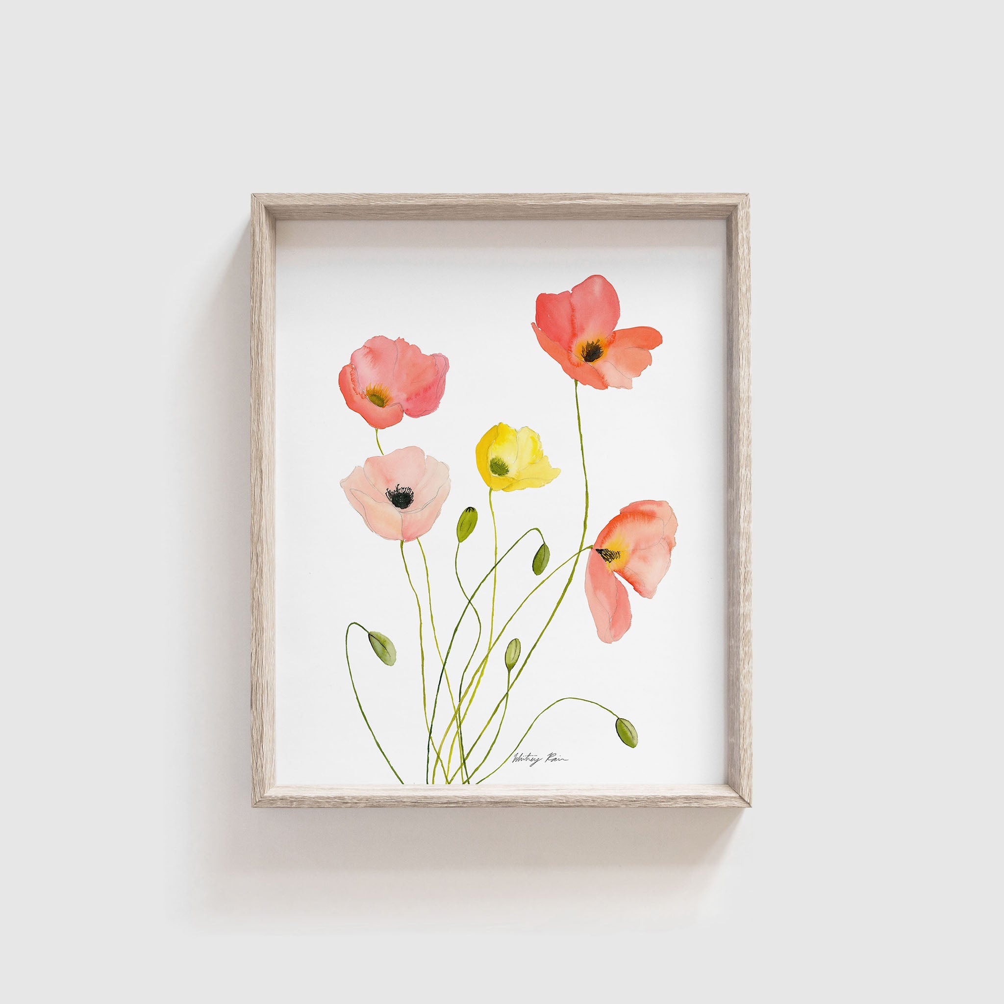 "Iceland Poppies" Floral Watercolor Print